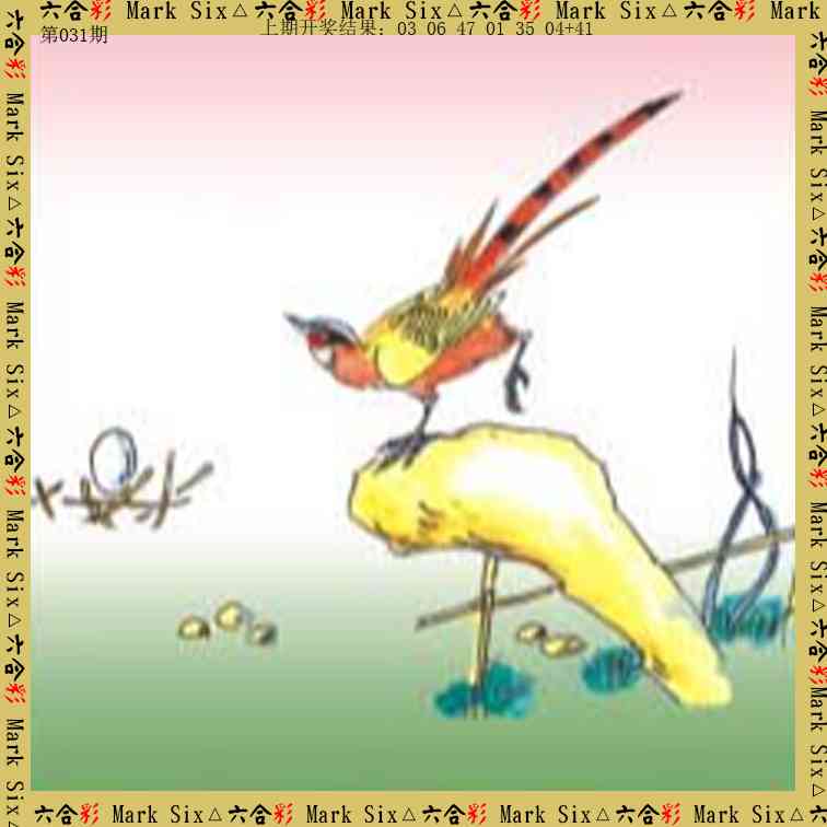 031期藏宝图[图]