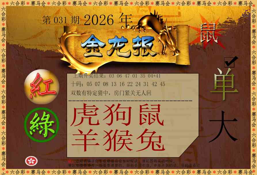 031期金龙报[图]