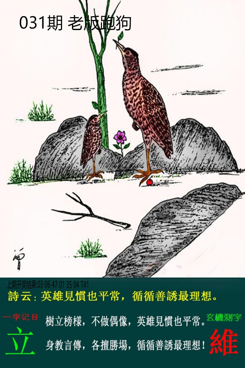 031期老板跑狗[图]