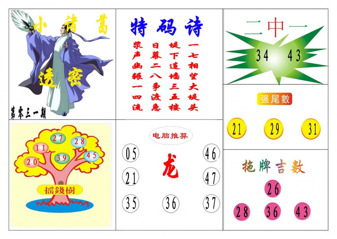 031期小诸葛[图]