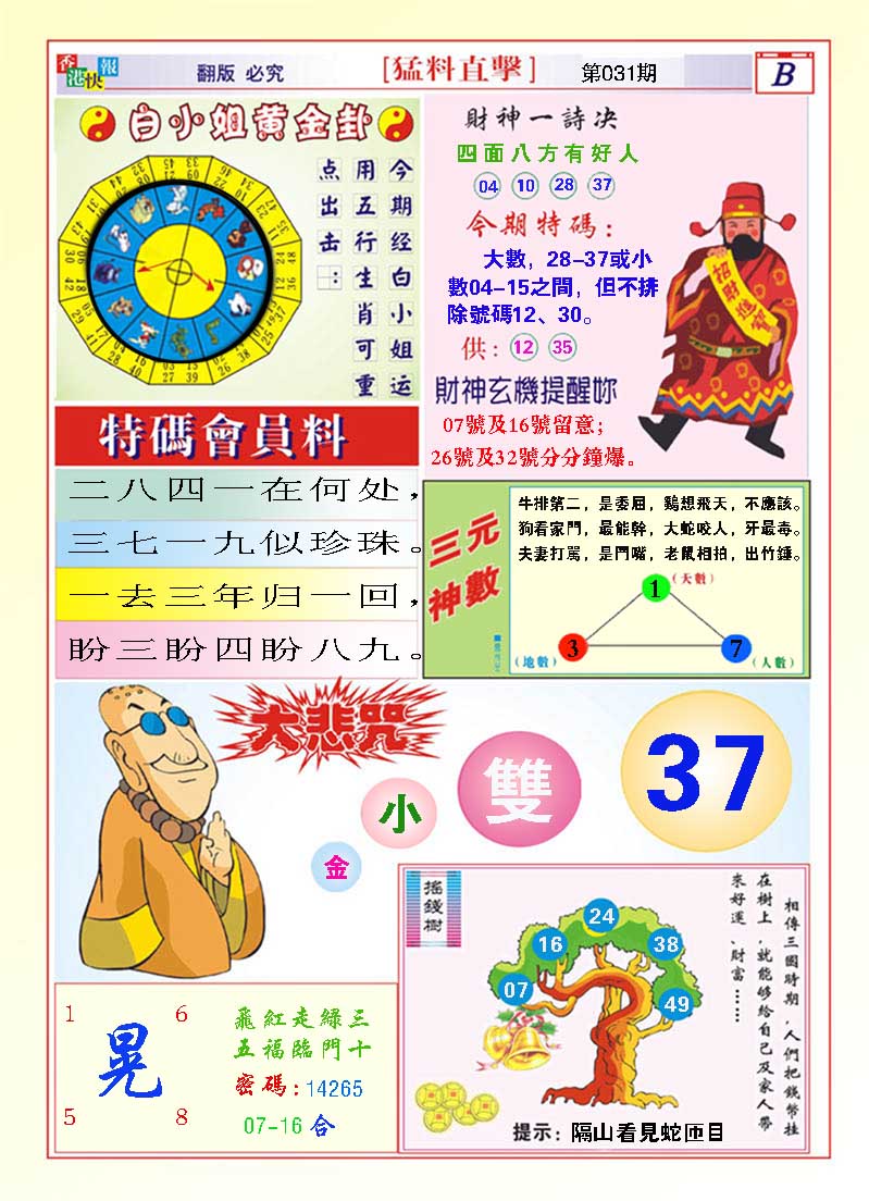 031期猛料直击B[图]