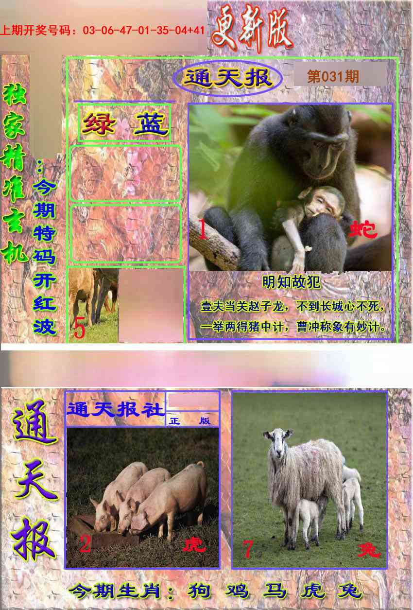 031期新通报[图]