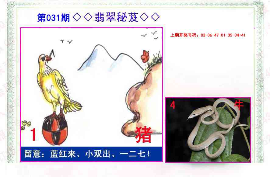 031期翡翠报[图]