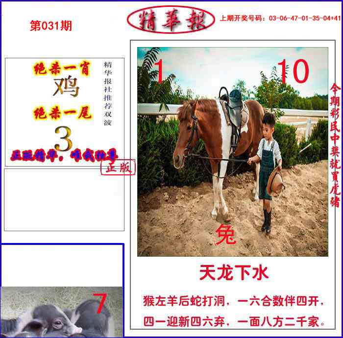 031期新精华报报[图]