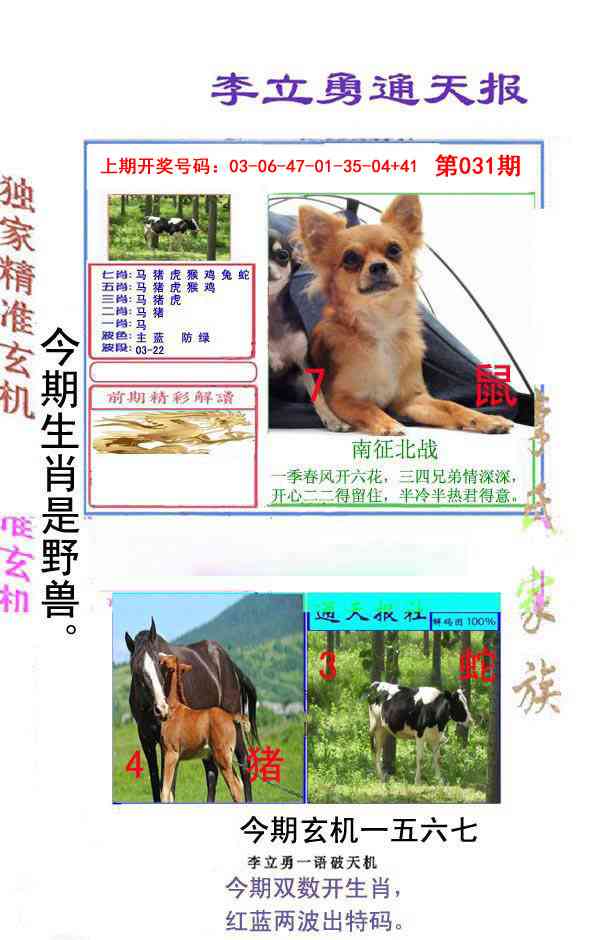 031期李立勇通天报[图]