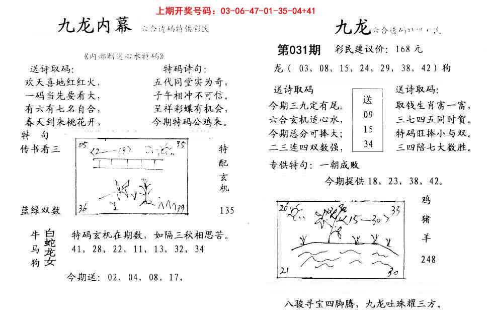 031期九龙内幕[图]