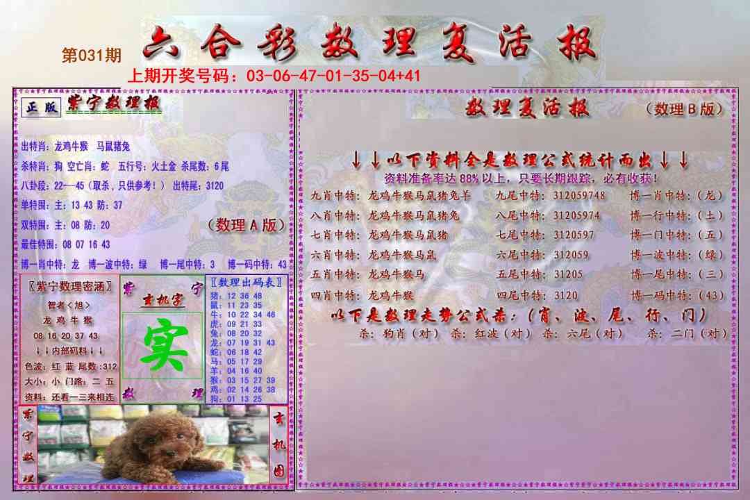 031期数理复活报[图]