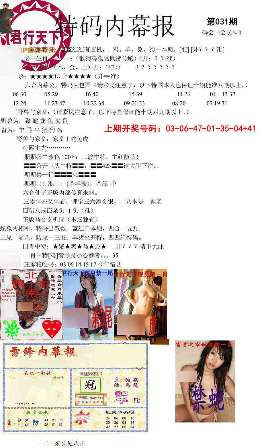 031期特码内幕报[图]