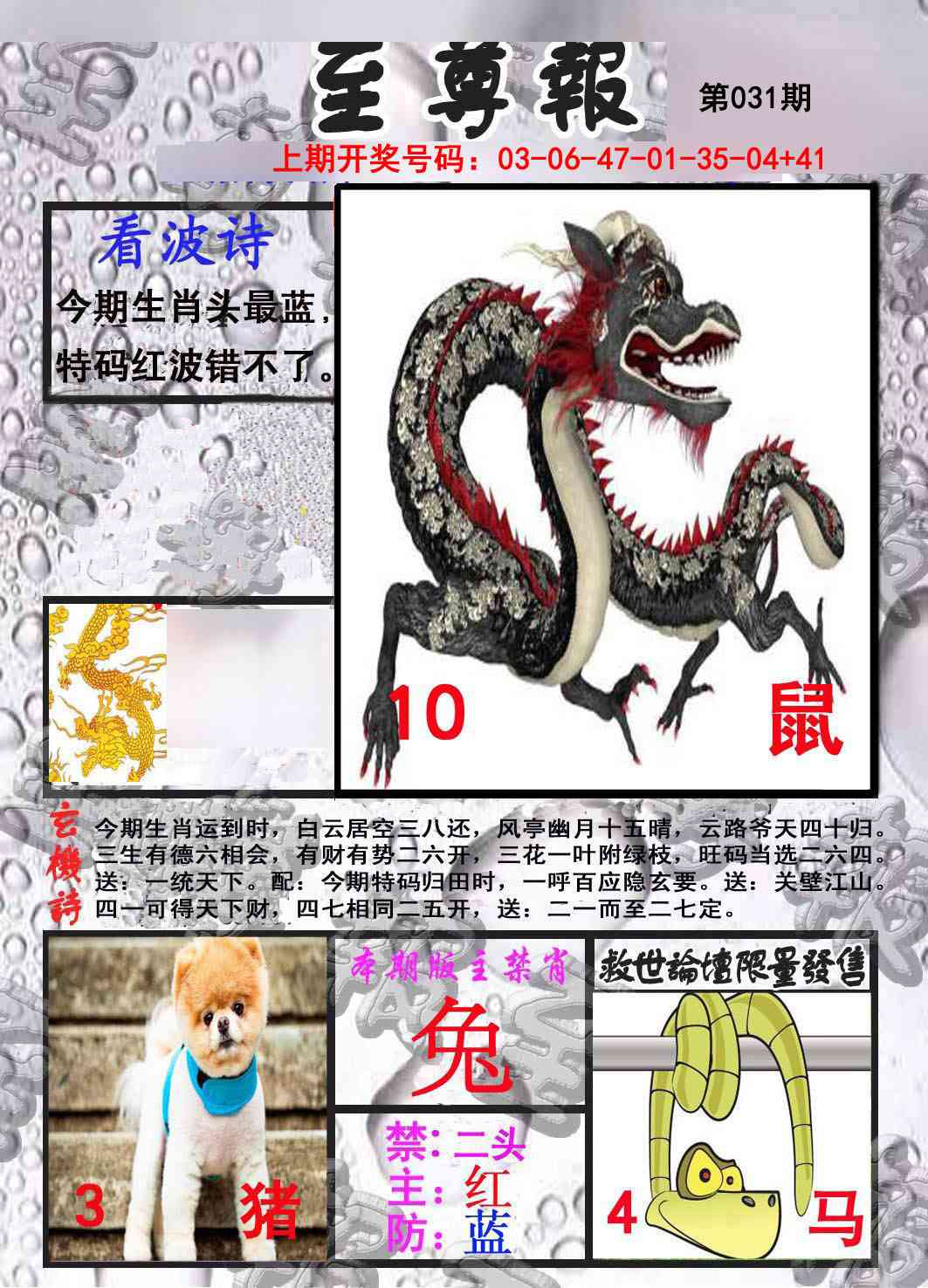031期至尊报[图]