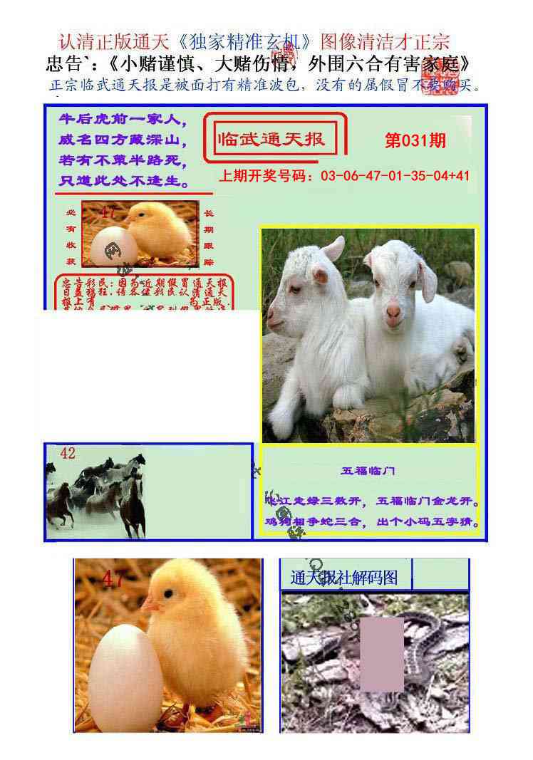 031期临武通天报[图]