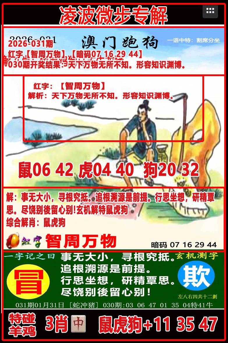 031期凌波微步[图]