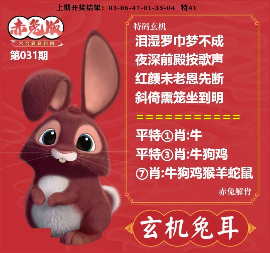 031期玄机兔耳[图]