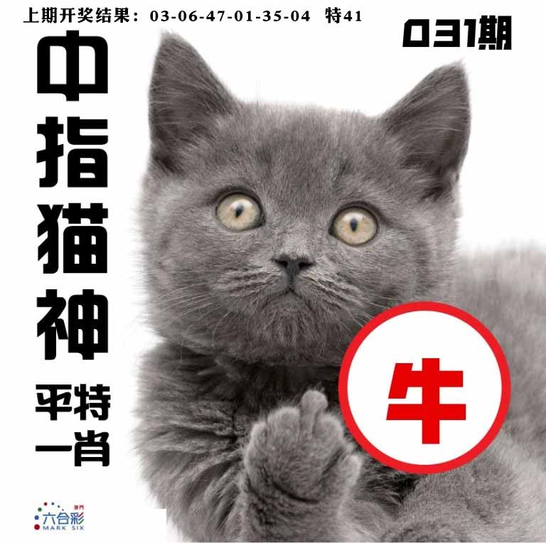 031期中指猫神[图]